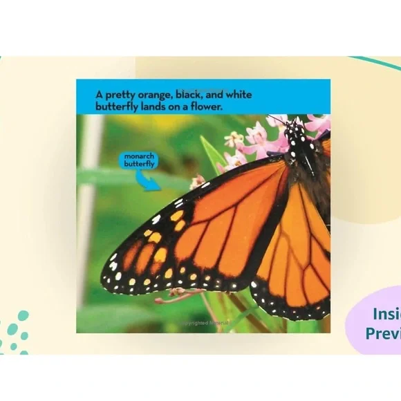 National Geographic Kids Look & Learn Books - Caterpillar to Butterfly and Bugs - Picture 7 of 8